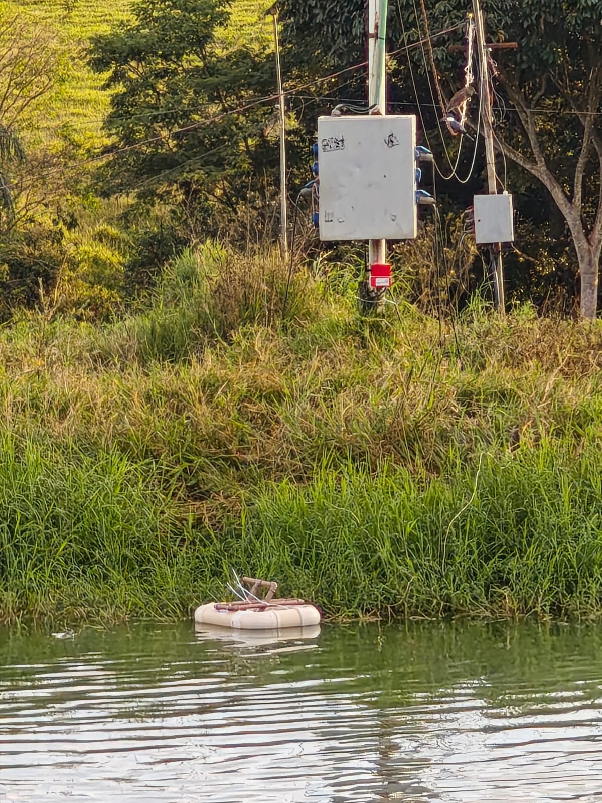 Sky Fish Array SkyFish – Monitoramento Inteligente de Viveiros de Piscicultura
